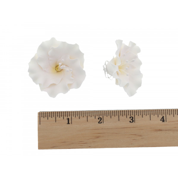 Image of flowers with ruler