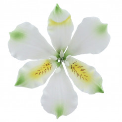 Global Sugar Art Alstroemeria Sugar Cake Flowers White with Green, 3 Count by Chef Alan Tetreault