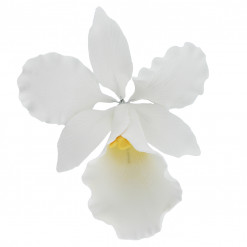 Global Sugar Art Cattleya Orchid Sugar Cake Flower, White, Large, 1 Count by Chef Alan Tetreault