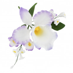Global Sugar Art Cattleya Orchid Arched Spray Sugar Cake Flower, Violet, 1 Count by Chef Alan Tetreault