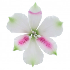 Global Sugar Art Alstroemeria Sugar Cake Flowers, White with Pink & Green, 9 Count by Chef Alan Tetreault