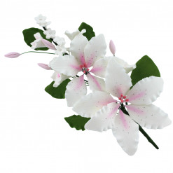 Global Sugar Art Double Rubrum Lily Sugar Cake Flowers Spray, White with Pink, 1 Count by Chef Alan Tetreault