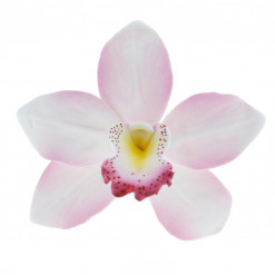 Global Sugar Art Cymbidium Orchid Sugar Cake Flowers, Pink, 3 Count by Chef Alan Tetreault