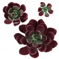 Global Sugar Art Succulent Romeo Sugar Cake Flowers, Assorted with Wire, 3 Count by Chef Alan Tetreault