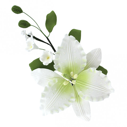 Global Sugar Art Casablanca Lily Spray Sugar Cake Flowers, White with Green, 1 Count by Chef Alan Tetreault