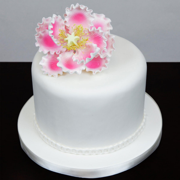 Image of the flower on a cake.