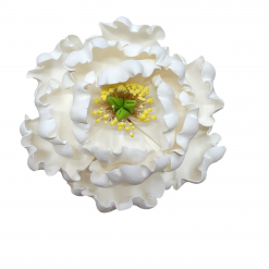 Global Sugar Art Elegant Peony White Sugar Cake Flower, 1 Count by Chef Alan Tetreault