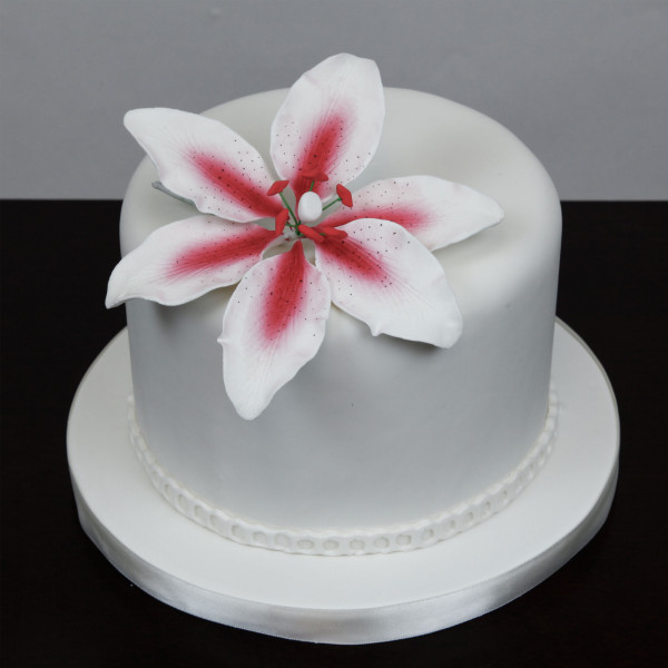 Global Sugar Art Stargazer Lily Sugar Cake Flowers White & Pink 