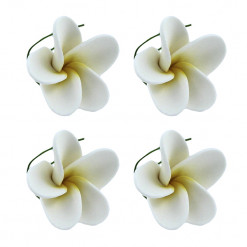 Global Sugar Art Frangipani Sugar Cake Flowers, White 20 Count by Chef Alan Tetreault