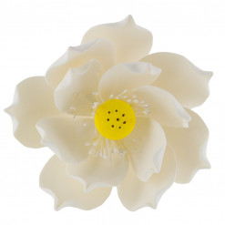 Global Sugar Art Lotus Blossom Sugar Cake Flowers White Jumbo, 1 Count by Chef Alan Tetreault