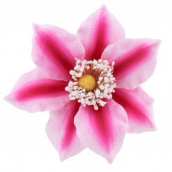 Global Sugar Art Clematis Sugar Cake Flowers, Pink with Deep Pink Center, 3 Count by Chef Alan Tetreault