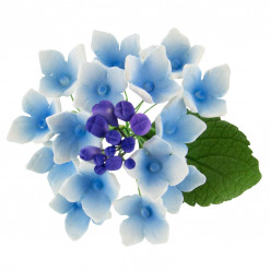 Global Sugar Art Hydrangea Blossoms Spray Sugar Cake Flowers, Blue/Purple, 4 Count by Chef Alan Tetreault
