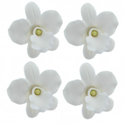 Global Sugar Art African Orchid Sugar Cake Flowers White, 6 Count by Chef Alan Tetreault