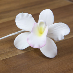 Global Sugar Art Pearly Orchid Sugar Cake Flowers, Small White, 6 Count by Chef Alan Tetreault