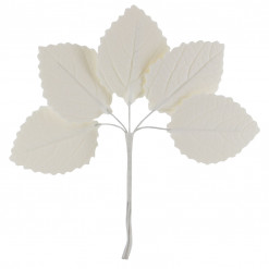 Global Sugar Art Hydrangea Leaves Sugar Cake Flowers Small White, 30 Count by Chef Alan Tetreault