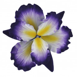 Global Sugar Art Dutch Iris Sugar Cake Flowers, Purple with Yellow Center 1 Count by Chef Alan Tetreault