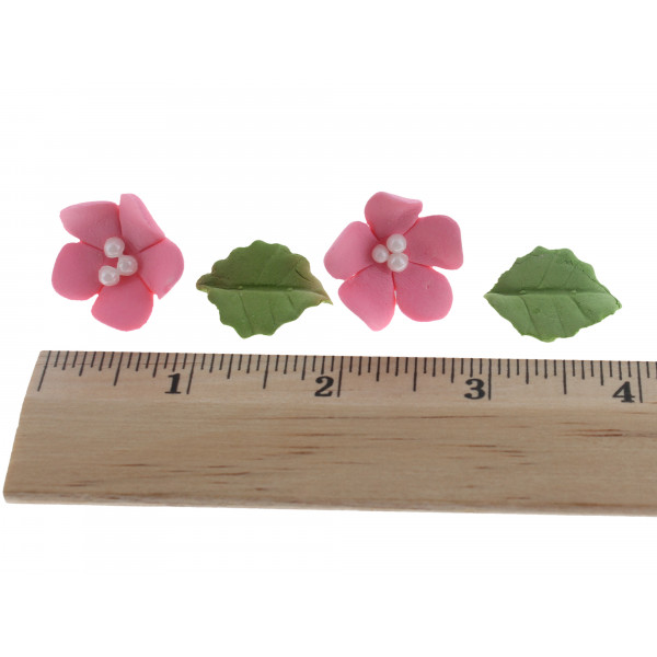 image of flowers with ruler