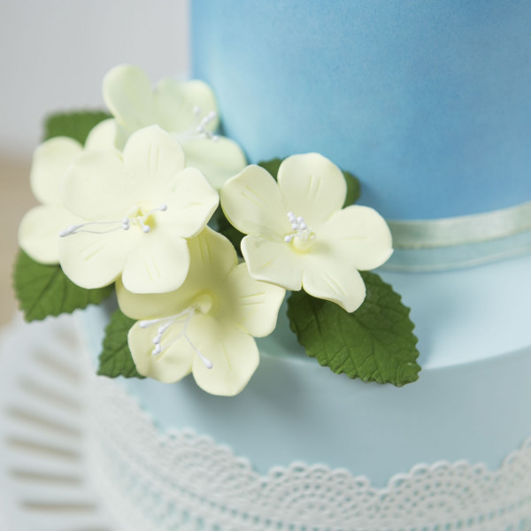 image of leaves on cake