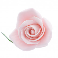 Image of single rose