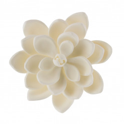 Global Sugar Art Succulent Opalina Sugar Cake Flowers White with Wire, 3 Count by Chef Alan Tetreault