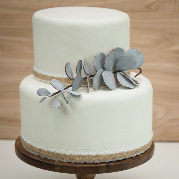 Image of branch on a white cake.