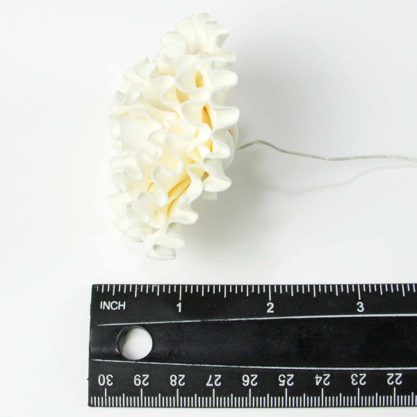 image of side of flower with measure