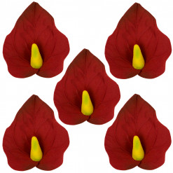 Global Sugar Art Anthurium Sugar Cake Flowers Red Small, 5 Count by Chef Alan Tetreault