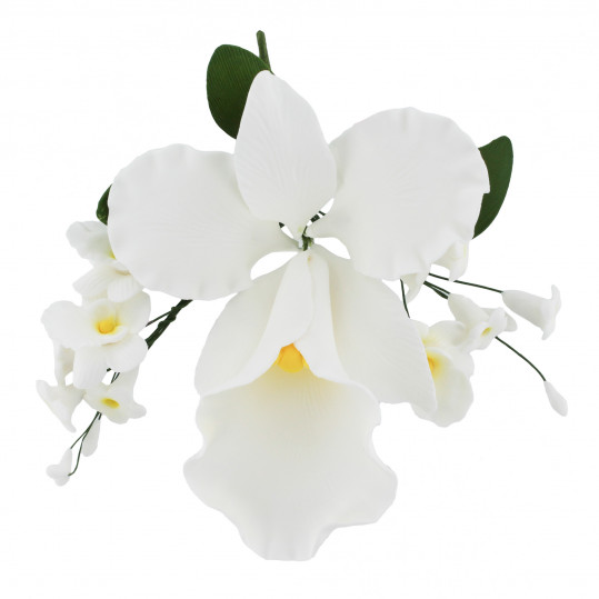 Global Sugar Art Cattleya Orchid Sugar Cake Flowers Arched Spray, White, 1 Count by Chef Alan Tetreault