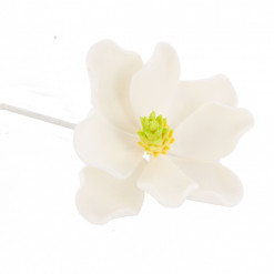 Global Sugar Art Magnolia Blossom Sugar Cake Flowers, White, Large, 3 Count by Chef Alan Tetreault