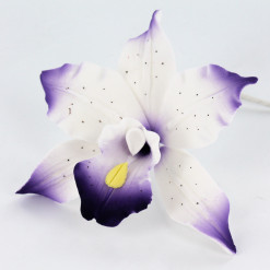 Global Sugar Art Brassavolaelio Orchid Sugar Cake Flowers, White with Violet, 3 Count by Chef Alan Tetreault