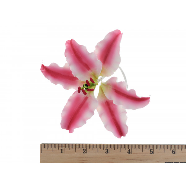 image of flower with ruler