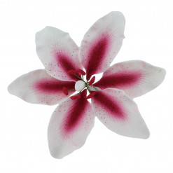 Global Sugar Art Stargazer Lily, White & Pink Sugar Flowers, Extra Large 3 Count